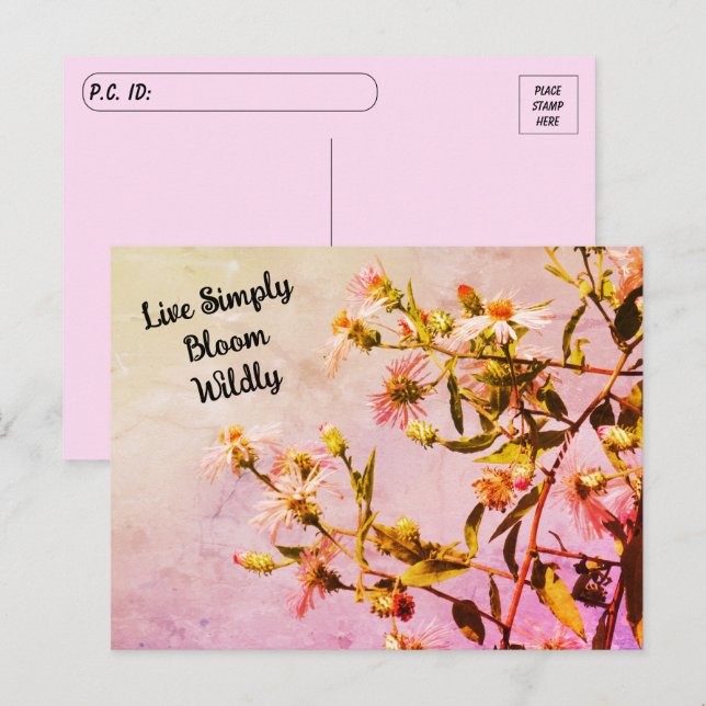 Postüberqueren der rosa Wildblume Zitat Postkarte (Vorne/Hinten)