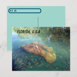 Postüberqueren von Florida Manatee and Baby w ID B Postkarte