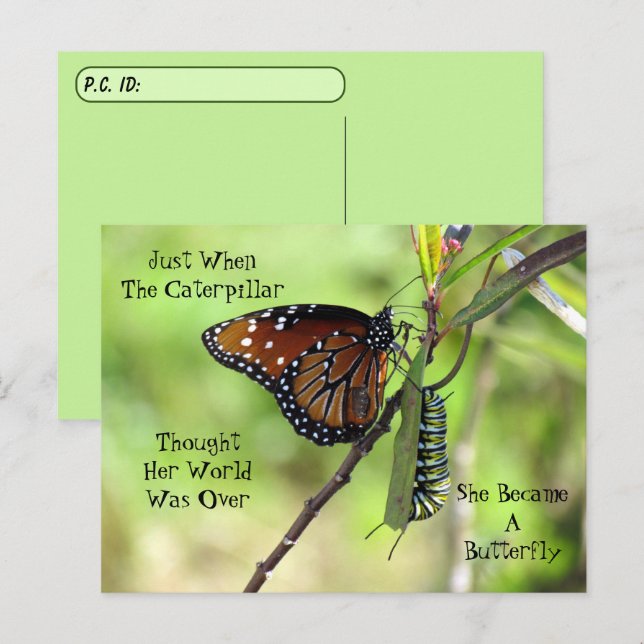 Postüberqueren von Queen Butterfly & Monarch mit I Postkarte (Vorne/Hinten)