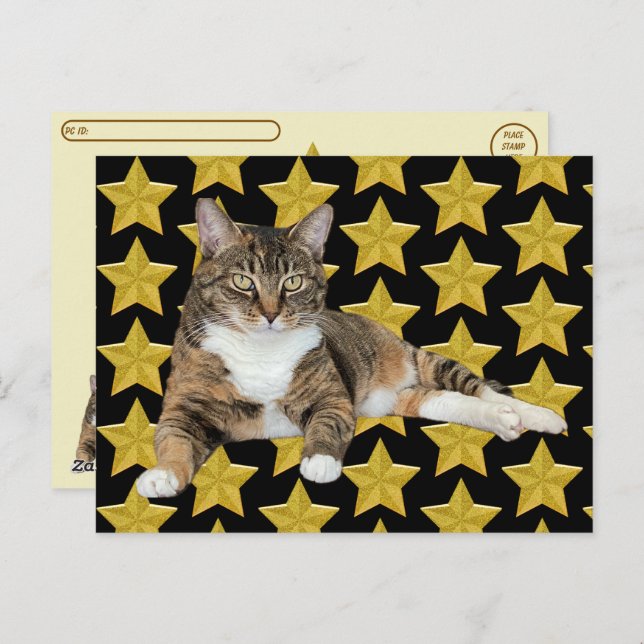 Postüberquerung - Annie's Star: Cat Postcard Postkarte (Vorne/Hinten)