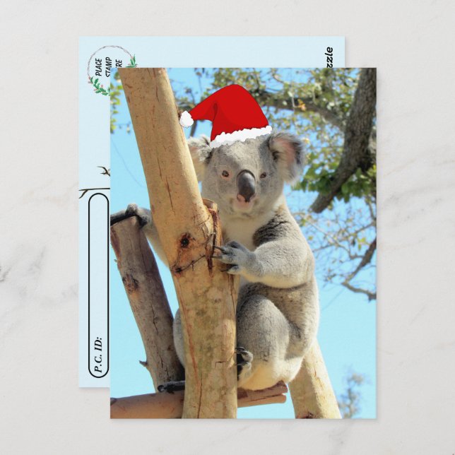 Postüberquerung - Koala Weihnachten Postkarte (Vorne/Hinten)