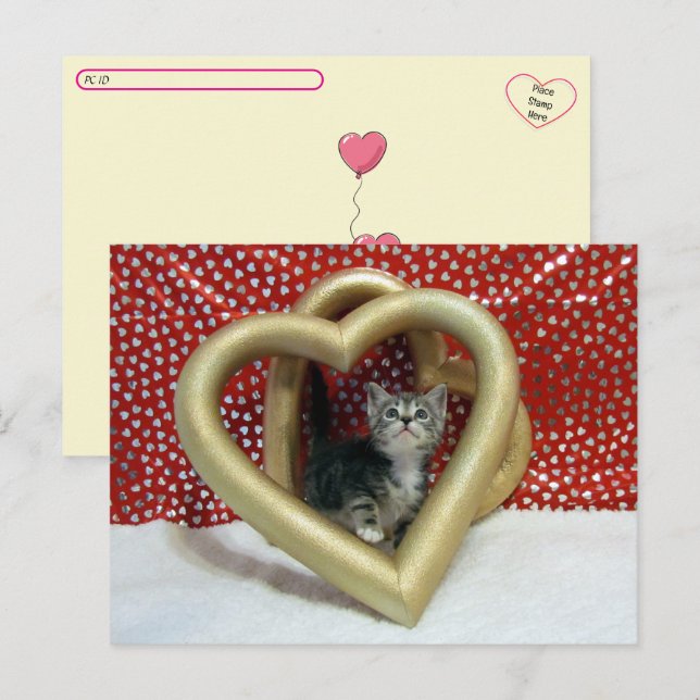 Postüberquerung - Liebe, Lilo - Katze / Kätzchenhe Postkarte (Vorne/Hinten)