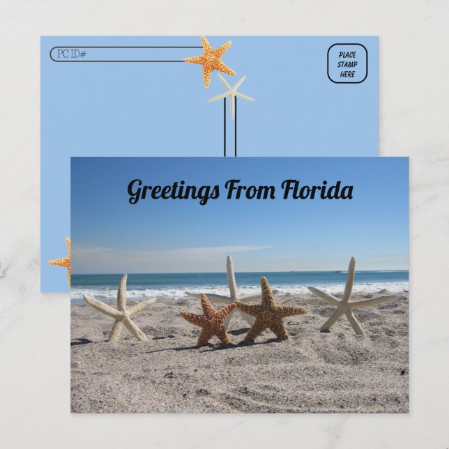 Postüberquerung - Muscheln am Strand Postkarte (Vorne/Hinten)