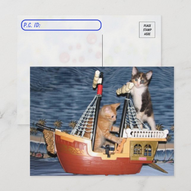 Postüberquerung - Pirate Kittens - Katze / Kitten Postkarte (Vorne/Hinten)