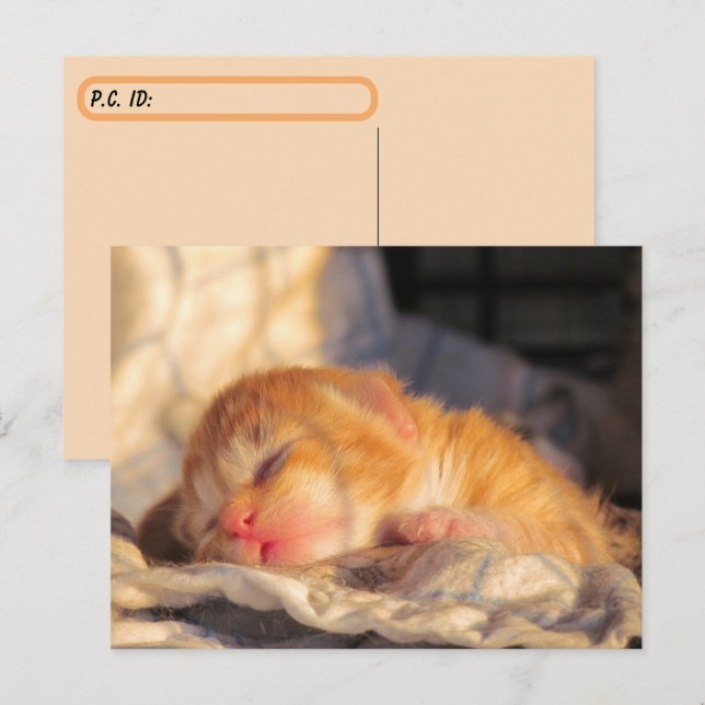 Postüberquerung Schlafsäugchen Babyküche mit Auswe Postkarte (Vorne/Hinten)