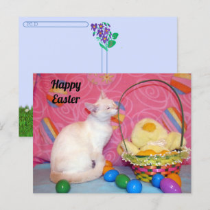 Postüberquerung - Tiffany's Osterkorb = Katze Postkarte