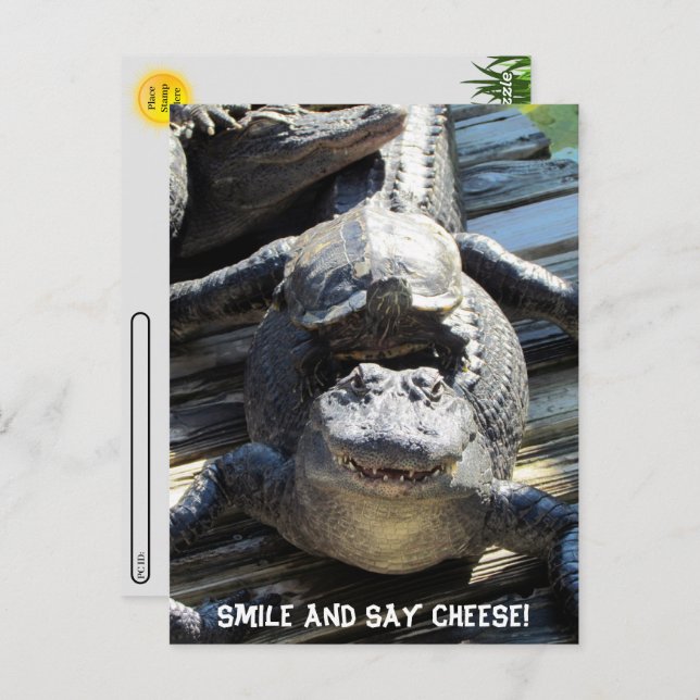 Postüberquerung - Ultimate Florida Tourist Postkar Postkarte (Vorne/Hinten)