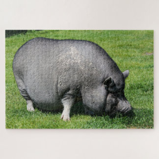 Pot cochon ventré sur l'herbe puzzle puzzle