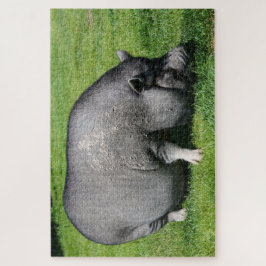 Pot cochon ventré sur l'herbe puzzle puzzle