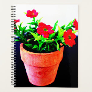 Pot de fleurs