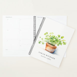 Pot Herbe Persil Coriander Aquarelle Botanique
