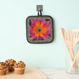 Pot Holder mit Brilliant Magenta Gazania Topflappen