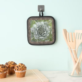 Pot Holder mit einem schönen Sukkulenten Topflappen