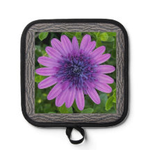 Pot Holder mit Lila afrikanischer Daisy