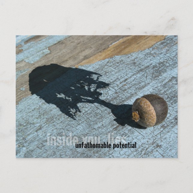 "Potenzielle" Postkarten (Vorderseite)