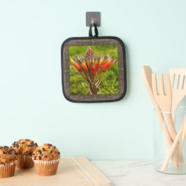 Pothalter mit auffallender Orange-Aloe-Blume Topflappen