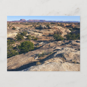 Pothole Point Trail Postkarte