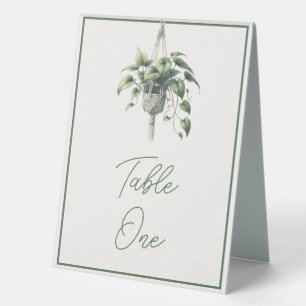 Pothos: Boho Schicke Botanische Grünpflanze Minima Tischaufsteller