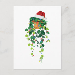 Pothos Hängepflanze Santa Hut Weihnachtslichter Feiertagspostkarte