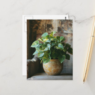 Pothos-Pflanze im Vorsitz Postkarte