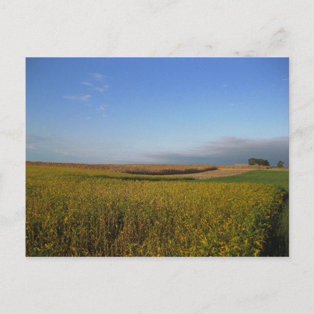 Potomac 1 postkarte (Vorderseite)