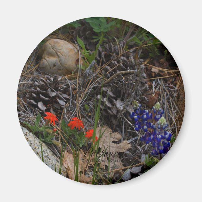 Potpourri Magnet (Vorne)