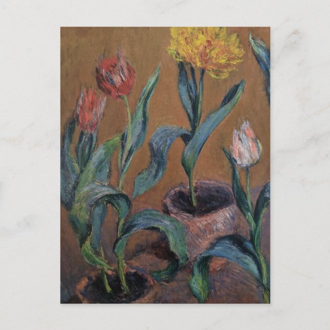 Pots of Tulips von Claude Monet Postcard Postkarte (Vorderseite)