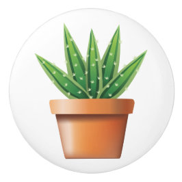 Potted Aloe Vera Keramikknauf