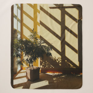 Potted green plant on brown wooden table sherpadecke