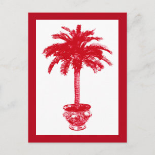 Potted Palm Tree, Deep Red and White Postcard Postkarte