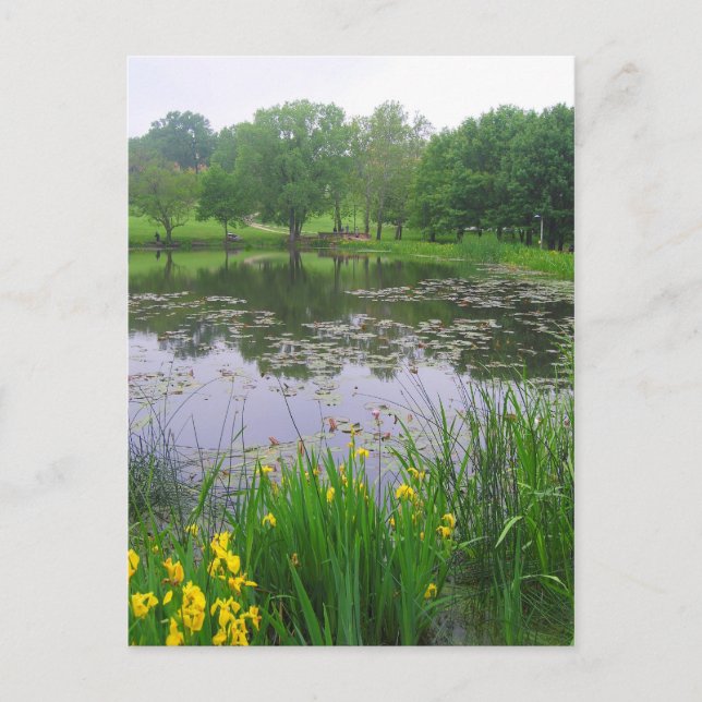 Potter Lake in Lawrence, Kansas, Postcard Postkarte (Vorderseite)
