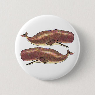 Pottwal Button