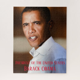 POTUS Barack Obama Porträt