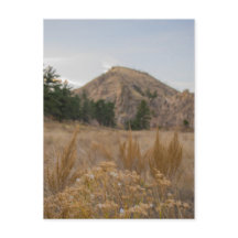 Poudre Canyon Colorado Postcard