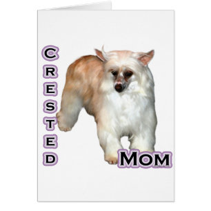 Poudre Crested Maman 4