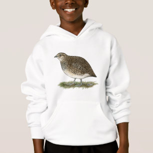 Poule de cailles de Coturnix