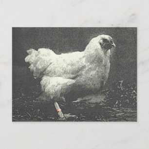POULE POSTKARTE