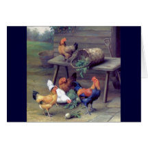 Poules de panier de navet de coq