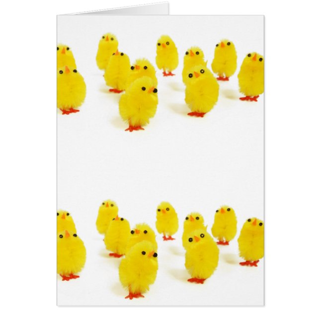 poules mignonnes (Devant)