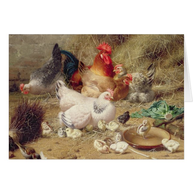 Poules roosting avec leurs poulets (Devant horizontal)