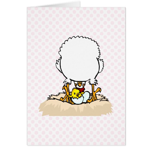 Poulet de Charmaigne (Devant)