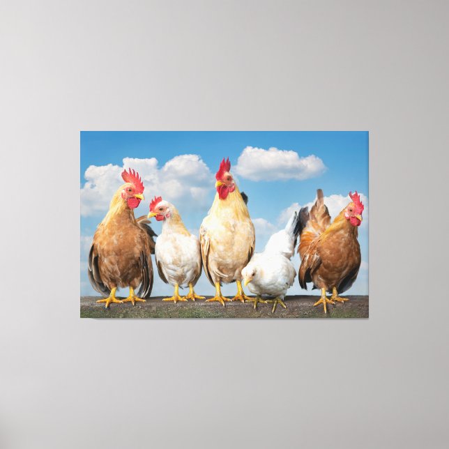 Poulet de ferme sur toile nuageuse de jour d'été P (Recto)
