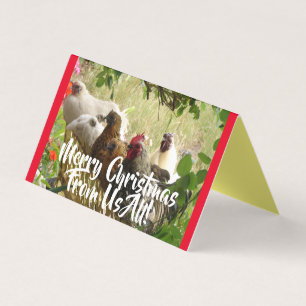 Poulet Les Coqs Joyer De Nous Toutes Les Cartes De