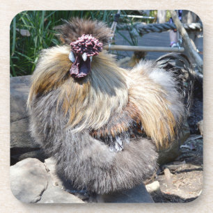 Poulet moche, Dessous de verre