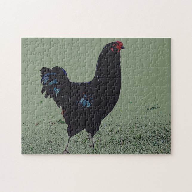 Poulet noir dans le puzzle d'art de l'herbe (Horizontal)