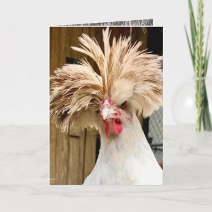 poulet polonais "coop hair no care!" Carte 5"x7"