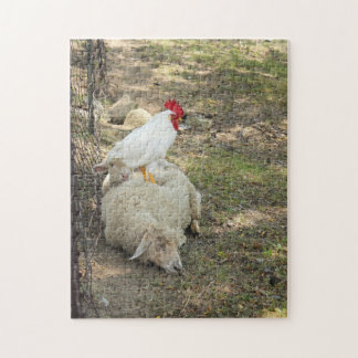 Poulet se reposant sur un puzzle de moutons