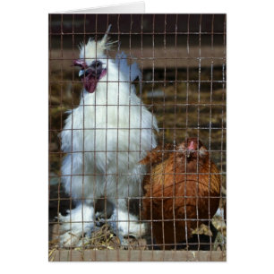 Poulets de fantaisie