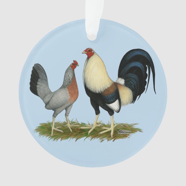 Poulets dorés (devant)
