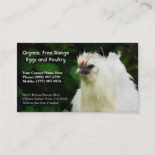Poulets et cartes de visite organiques d'oeufs